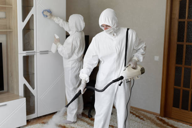 Best Post-Flood Mold Remediation in USA